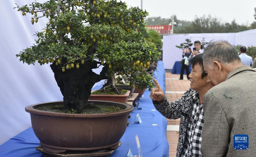 最新捕鱼平台上分